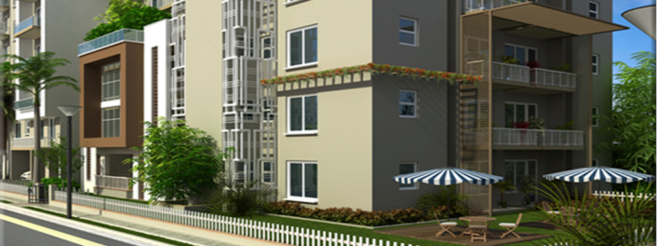 Premium Floors